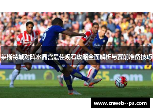 莱斯特城对阵水晶宫最佳观看攻略全面解析与赛前准备技巧