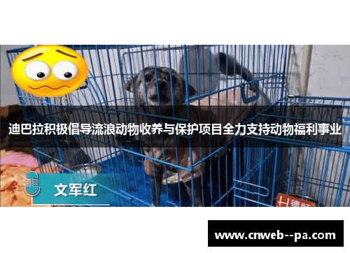 迪巴拉积极倡导流浪动物收养与保护项目全力支持动物福利事业
