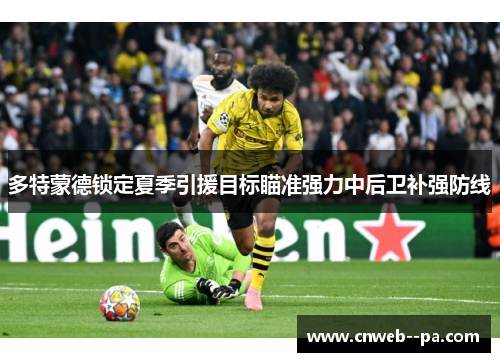 多特蒙德锁定夏季引援目标瞄准强力中后卫补强防线