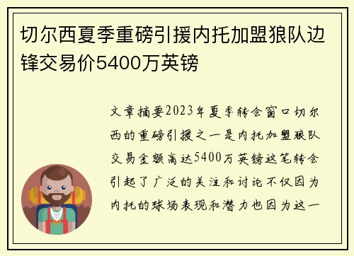 切尔西夏季重磅引援内托加盟狼队边锋交易价5400万英镑